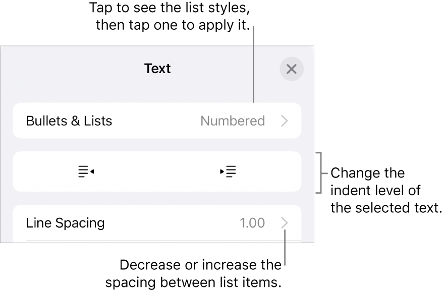 The Bullets & Lists section of the Format controls with callouts to Bullets & Lists, outdent and indent buttons, and line spacing controls.