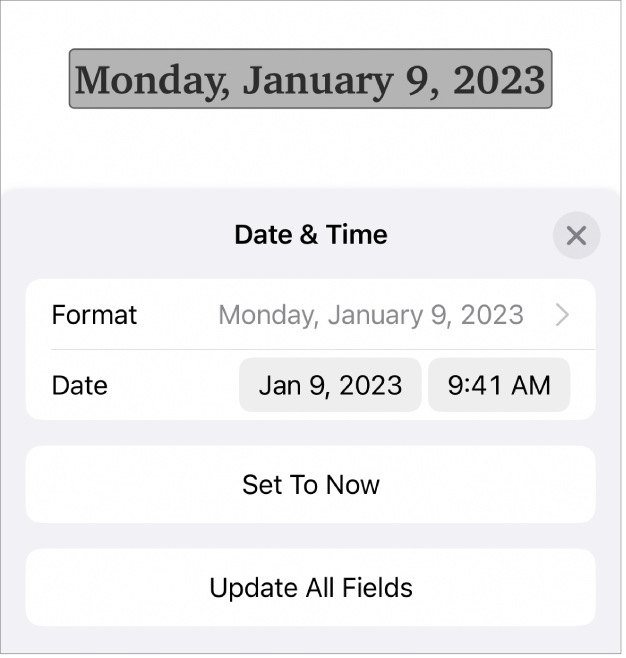 The Date & Time controls showing a pop-up menu for date Format, and Set to Now button and Update All Fields buttons.