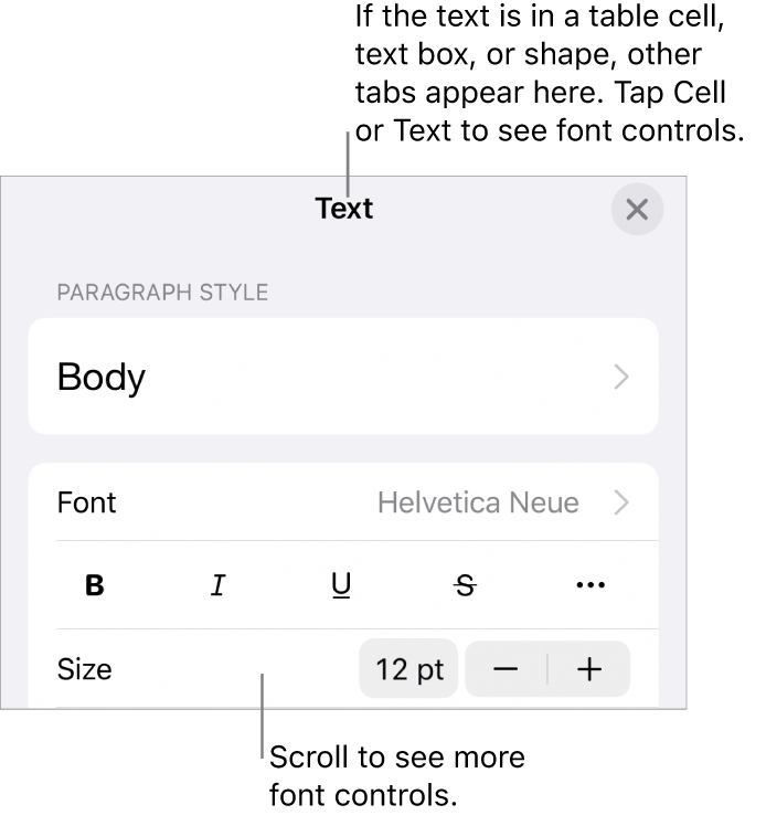 Text controls in the Format menu for setting paragraph and character styles, font, size, and color.