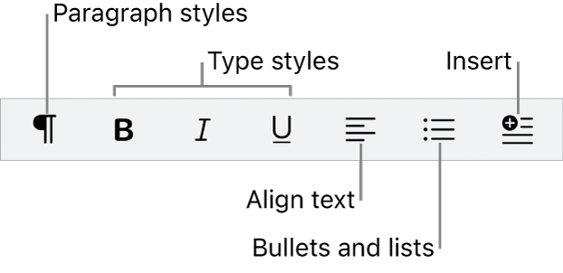 The Quick Format bar, showing icons for paragraph styles, type styles, text alignment, bullets and lists, and inserting elements.