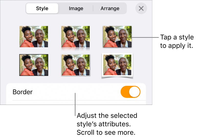 The Style of the Format menu, with object styles at the top and a control below them to change the border.