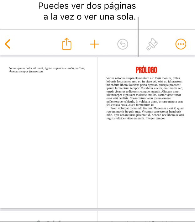 Un documento con las páginas en vista de hojas de dos páginas.