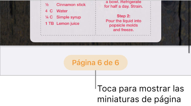 Un documento abierto con numeración de página en la parte inferior de la pantalla.