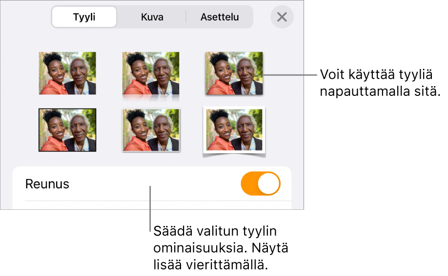 Tyylit-välilehti, jossa ylhäällä näkyy kuvatyylejä ja alhaalla Tyylivalinnat-painike.