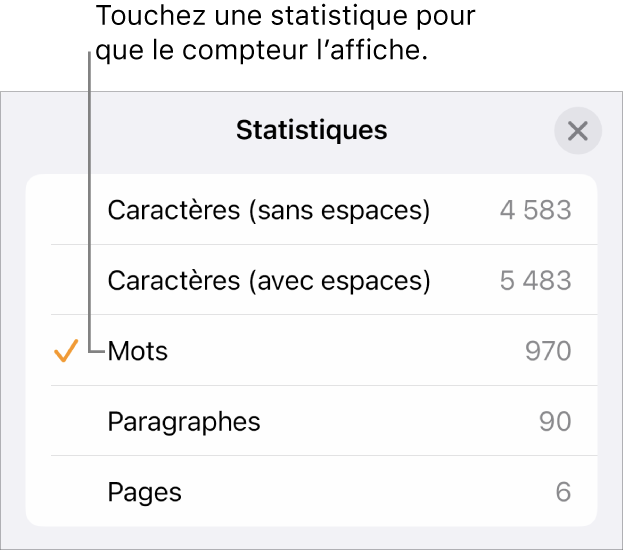 Menu Statistiques avec options d’affichage du nombre de caractères avec et sans espaces, du nombre de mots, du nombre de paragraphes et du nombre de pages.