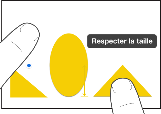 Un doigt juste au-dessus d’une forme et un autre tenant un objet avec « Respecter la taille » à l’écran.