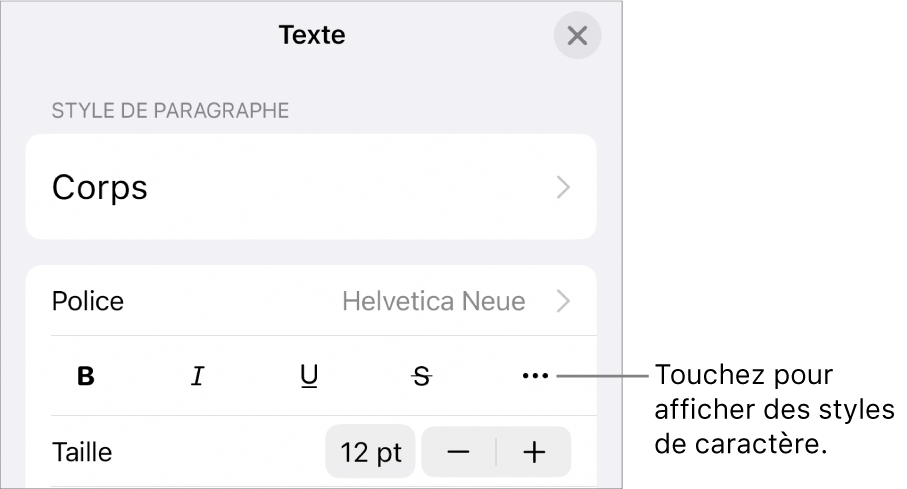 Les commandes de mise en forme, avec les boutons Gras, Italique, Souligné, Barré et « Plus d’options de texte ».