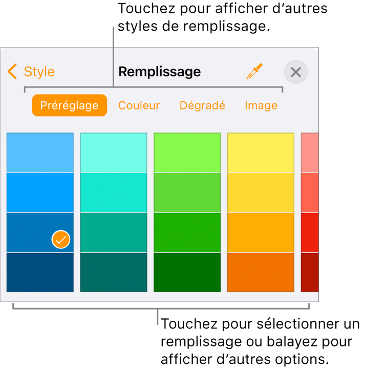 Options de remplissage de l’onglet Style du bouton Format.