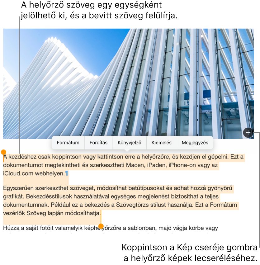 Helyőrző szöveg és képek.