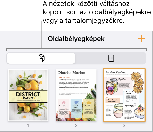 Az Oldalbélyegképek nézete az egyes oldalakhoz tartozó oldalbélyegképekkel. Az Oldalbélyegképek gomb és a Tartalomjegyzék gomb a képernyő alján található.