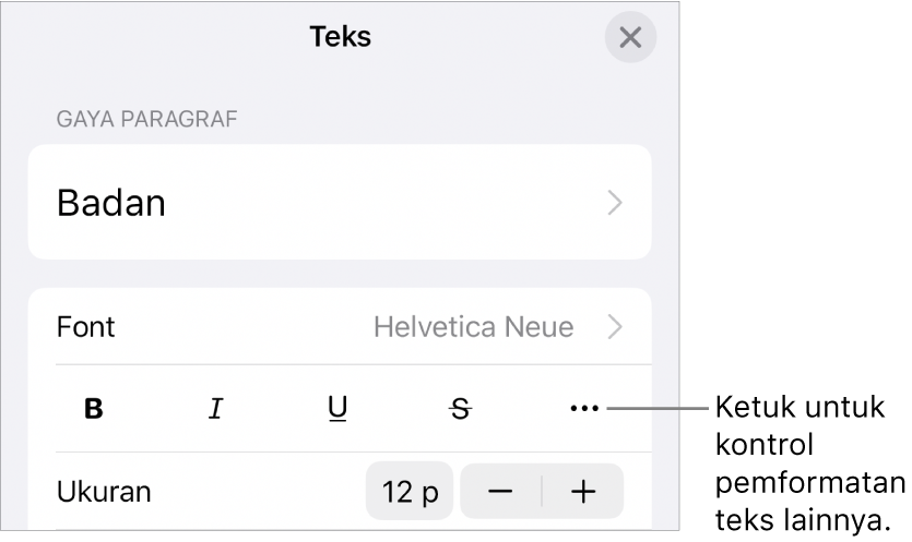 Tab teks pada kontrol Format, dengan keterangan ke tombol Pilihan Teks Lainnya.