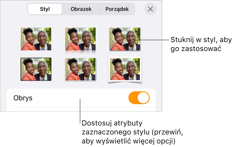 Karta Styl ze stylami obrazka na górze oraz przyciskiem Opcje stylu na dole.