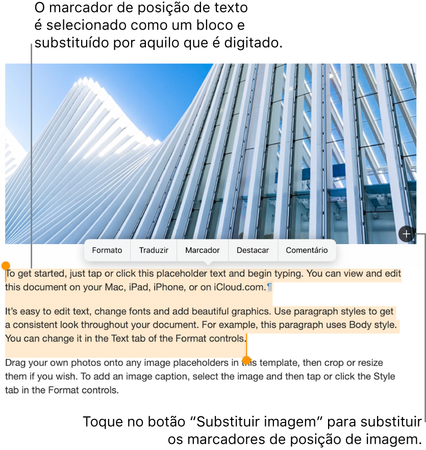Texto e imagens do marcador de posição.