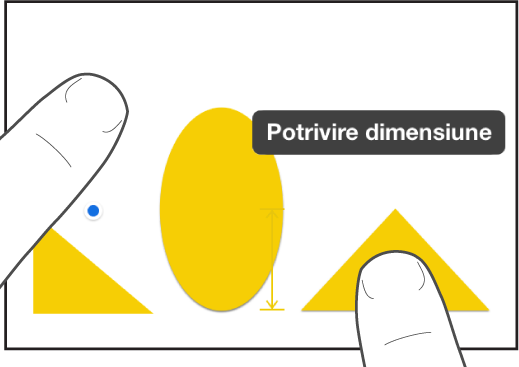 Un deget chiar deasupra unei forme și un altul ținând un obiect cu Potrivire dimensiune pe ecran.