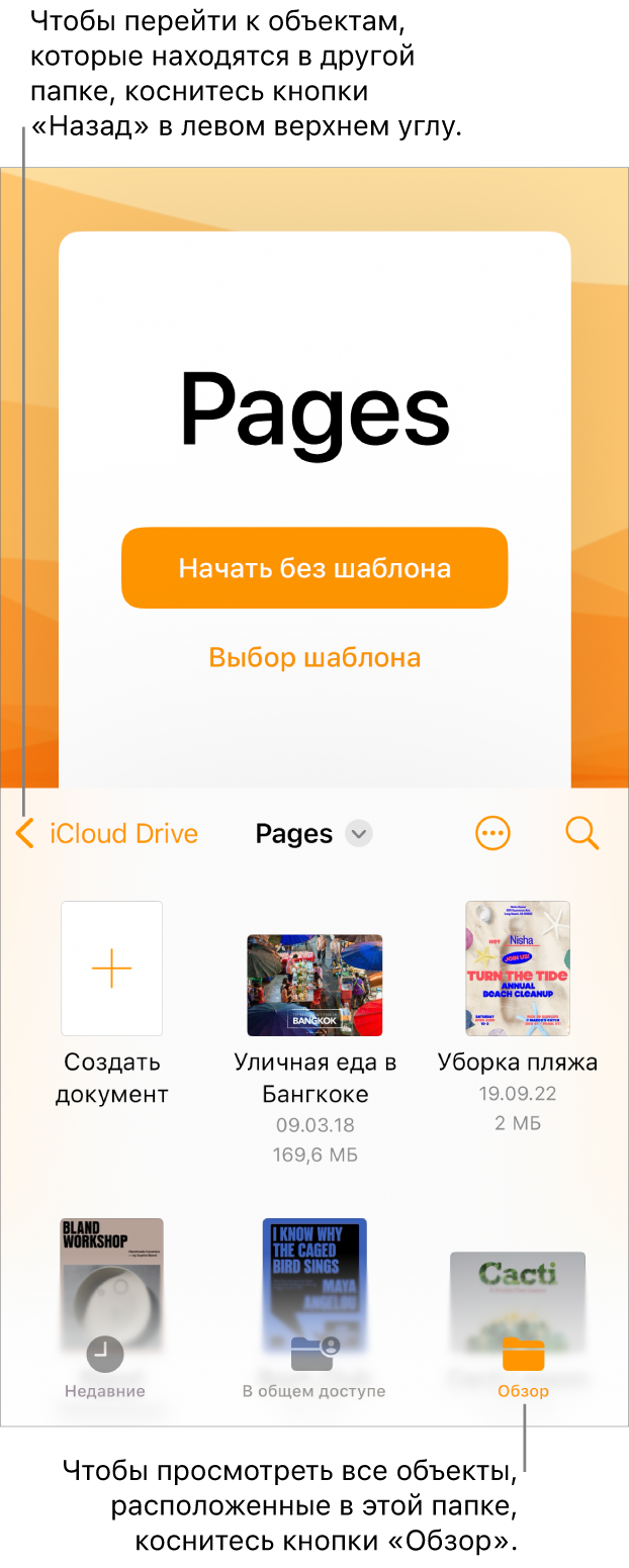 Режим просмотра в менеджере документов. В левом верхнем углу отображается кнопка «Назад», под ней находится поле поиска. Под полем поиска отображаются кнопка «Создать документ» и миниатюры существующих документов. В правом верхнем углу расположены кнопки «Недавние», «В общем доступе» и «Обзор».