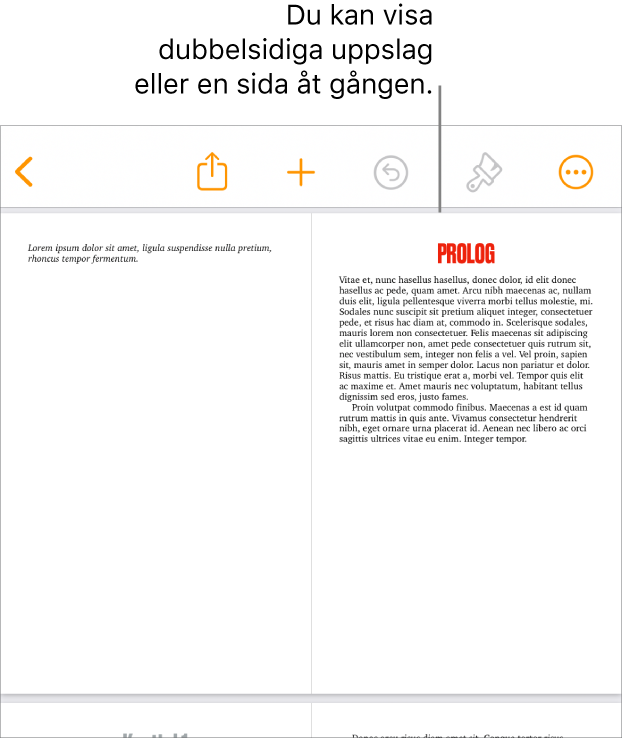 Ett dokument där sidorna visas som dubbelsidiga uppslag.