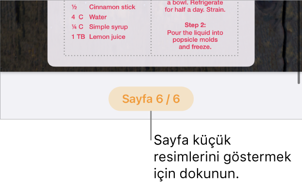 Ekranın alt ortasında sayfa numarası düğmesi açık bir belge.