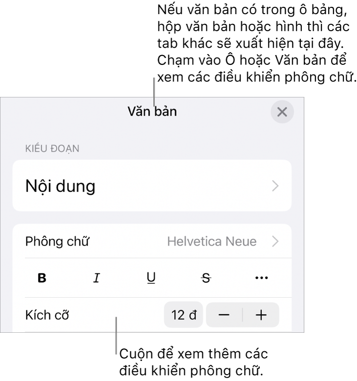 Các điều khiển văn bản trong menu Định dạng để đặt kiểu, phông chữ, kích cỡ và màu của đoạn và ký tự.