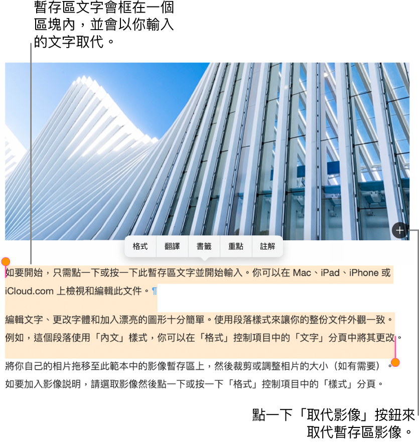 暫存區文字和影像。