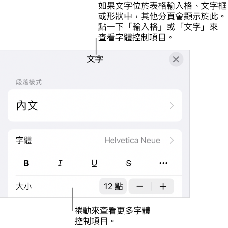 「格式」選單中設定段落及字元樣式、字體、大小和顏色的文字控制項目。
