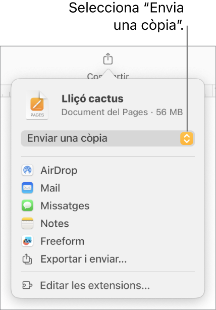 Menú “Compartir” amb l’opció “Enviar una còpia” seleccionada a la part superior.