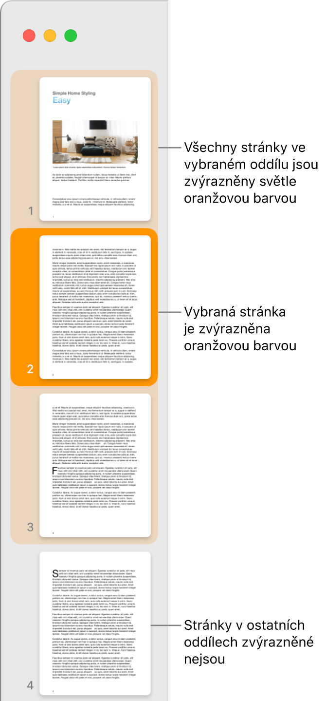 Boční panel Zobrazení miniatur s vybranou stránkou zvýrazněnou tmavě oranžovou barvou. Všechny stránky ve vybraném oddílu jsou zvýrazněné světle oranžovou barvou