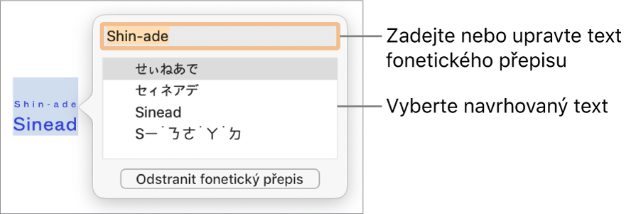 Otevřený fonetický přepis slova s popisky u textového pole a navrhovaného textu