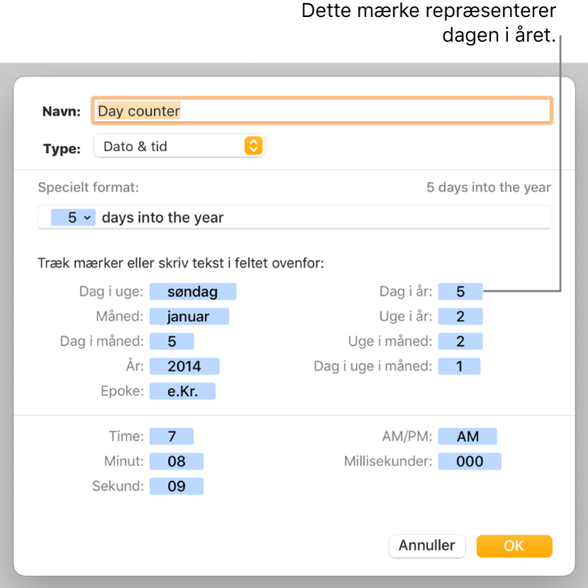 Vinduet til specielle celleformater med betjeningsmuligheder til valg af speciel formatering af dato og tid.