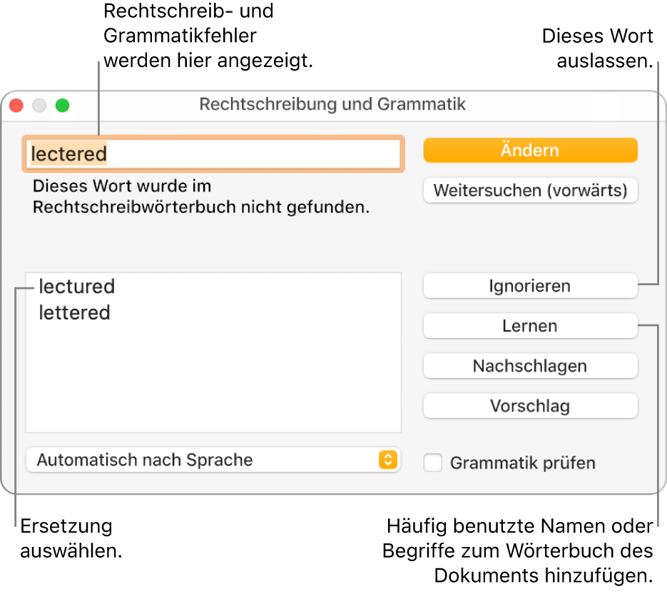 Das Fenster „Rechtschreibung und Grammatik“