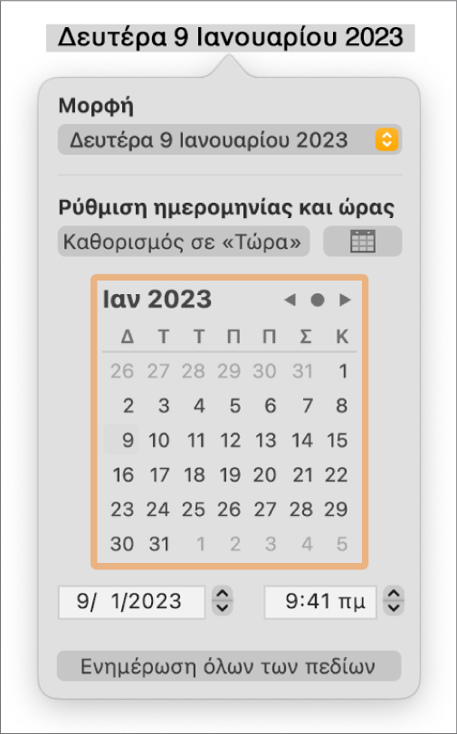 Τα στοιχεία ελέγχου «Ημερομηνία και ώρα» όπου φαίνονται ένα αναδυόμενο μενού για τη «Μορφή», και τα στοιχεία ελέγχου καθορισμού ημερομηνίας και ώρας.