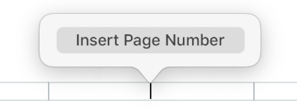 The Insert Page Number button below the header.