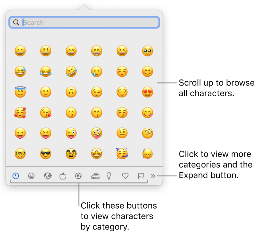 The Character Viewer showing emoji, buttons for different categories of symbols at the bottom, and a button to show more categories and the Expand button.