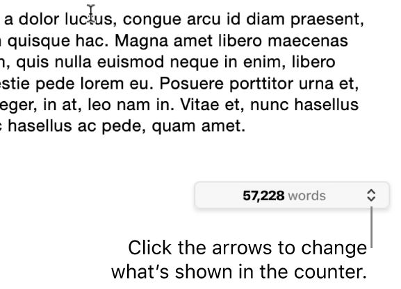 The word count menu showing the number of words in the document.