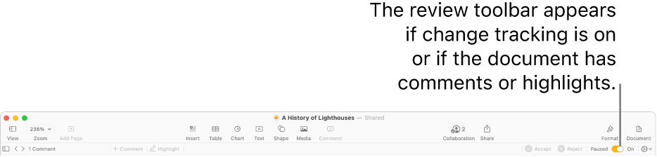 The Pages toolbar with change tracking turned on, and the review toolbar below it.