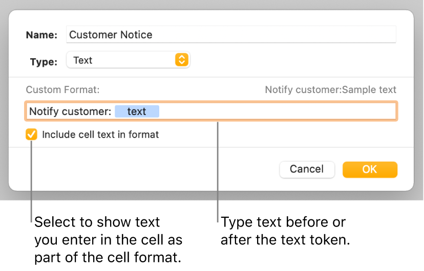 The custom cell format window with controls for choosing custom text formatting.