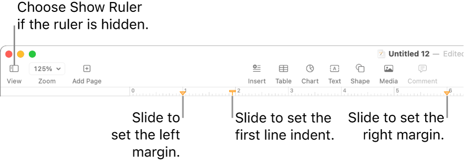 The ruler with the left margin control and first line indent control.