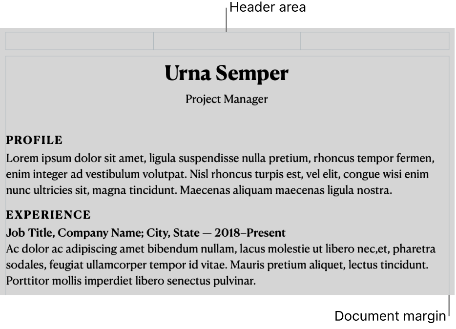 The layout view showing header area and document margins.