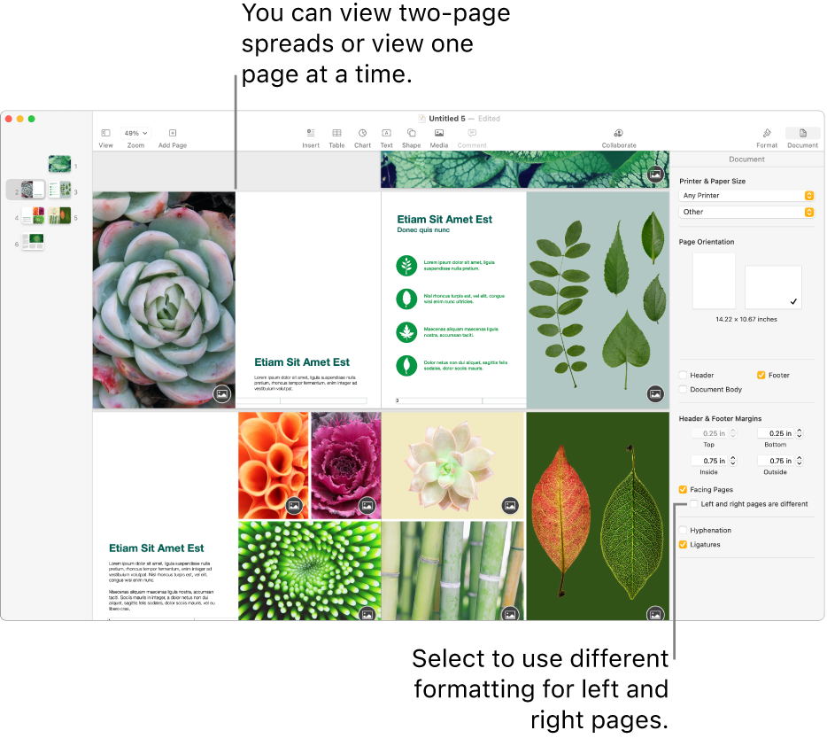 The Pages window with page thumbnails and document pages viewed as two-page spreads. In the Document sidebar on the right, the “Left and right pages are different” checkbox is unselected.