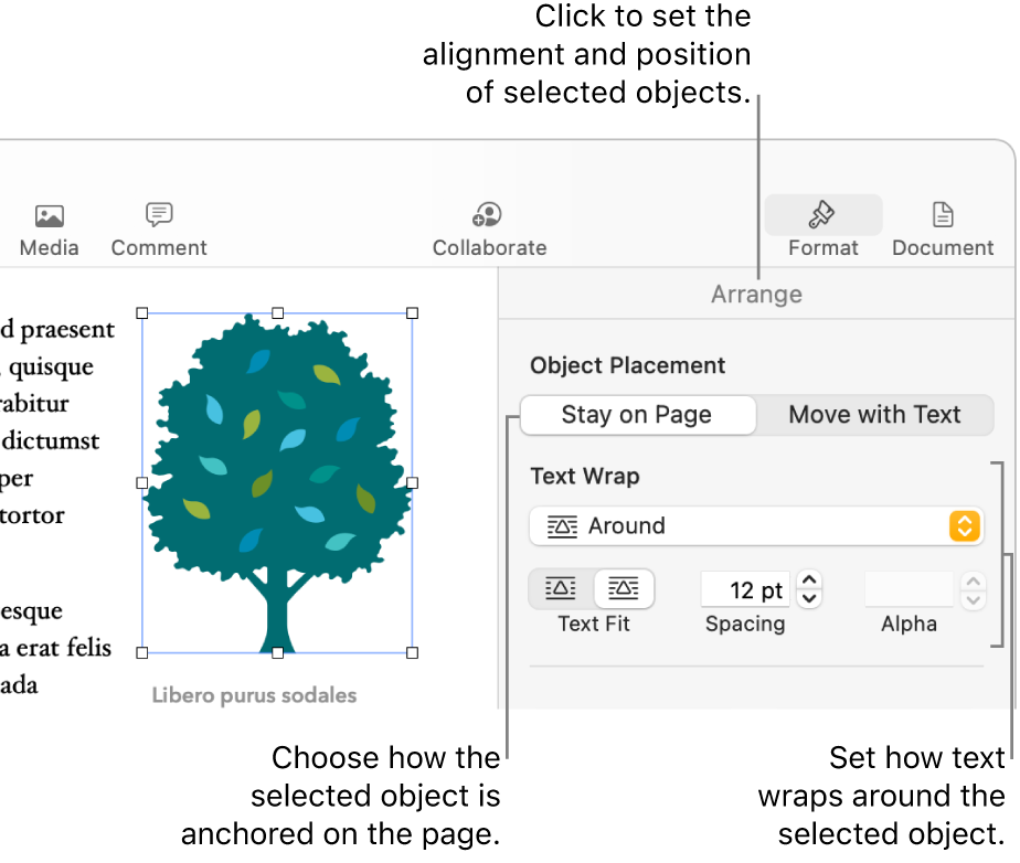 The Format menu with the Arrange sidebar displayed. The Object Placement settings are at the top of the Arrange sidebar, with the Text Wrap settings below.