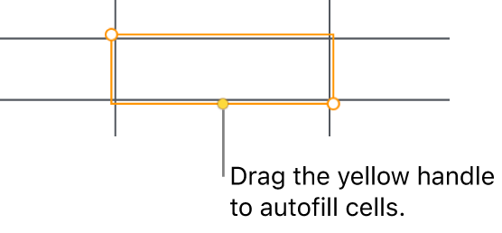 A selected cell with a yellow handle you can drag to autofill cells.