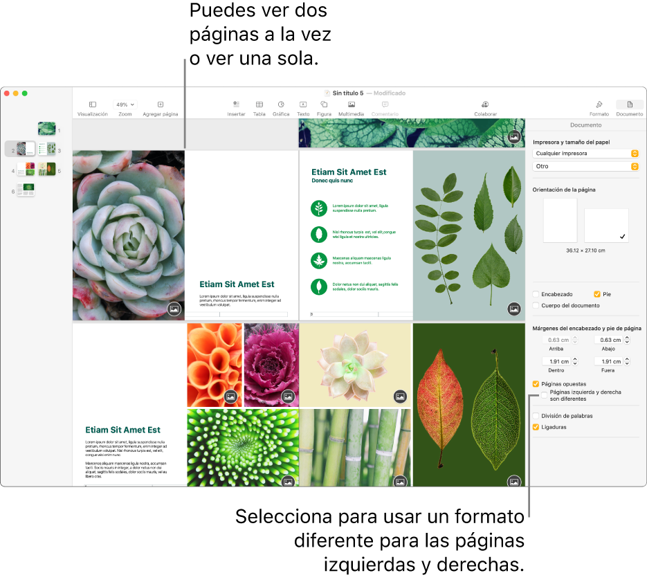 La ventana de Pages con las miniaturas de las páginas y las páginas del documento en visualización de dos páginas. La casilla Las páginas izquierda y derecha son distintas no está marcada en la barra lateral Documento que se encuentra la derecha.