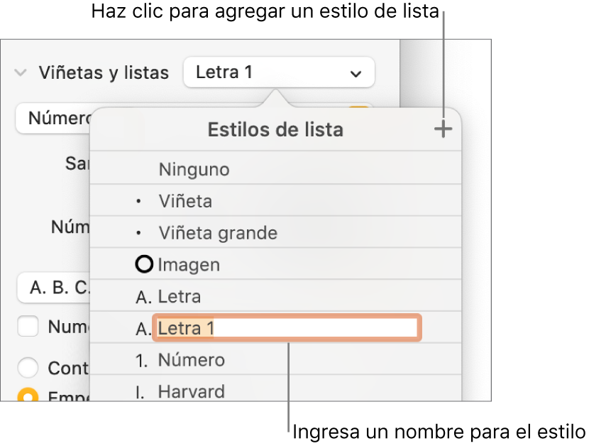 El menú desplegable Estilos de lista con el botón Agregar en la esquina superior derecha y un nombre de estilo de marcador de posición con su texto seleccionado.