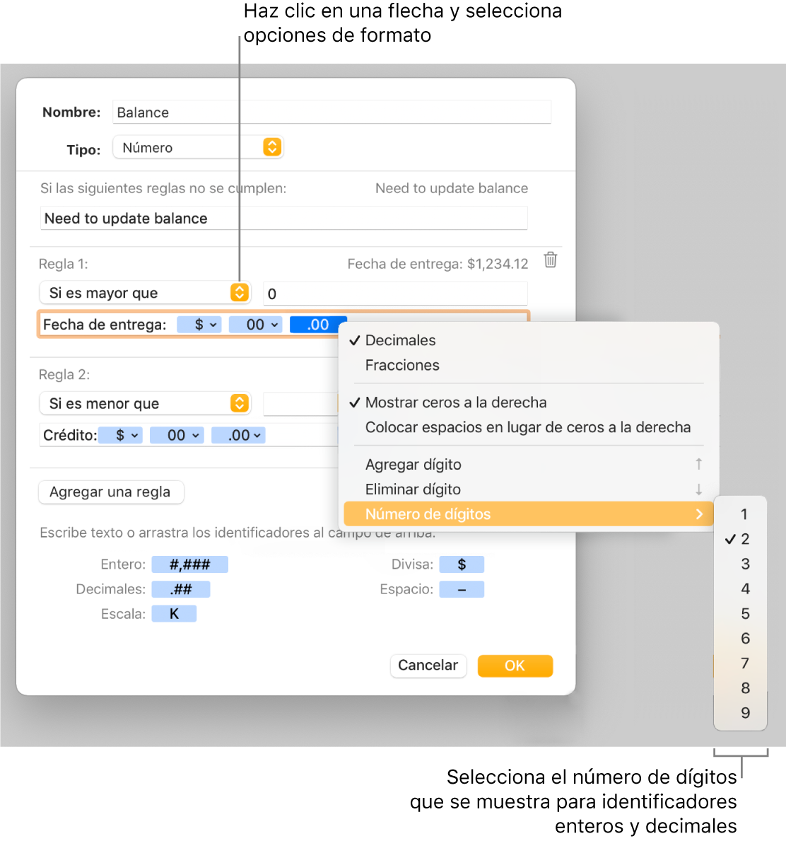 La ventana de formato de celda personalizado con controles para seleccionar opciones de formato personalizadas.