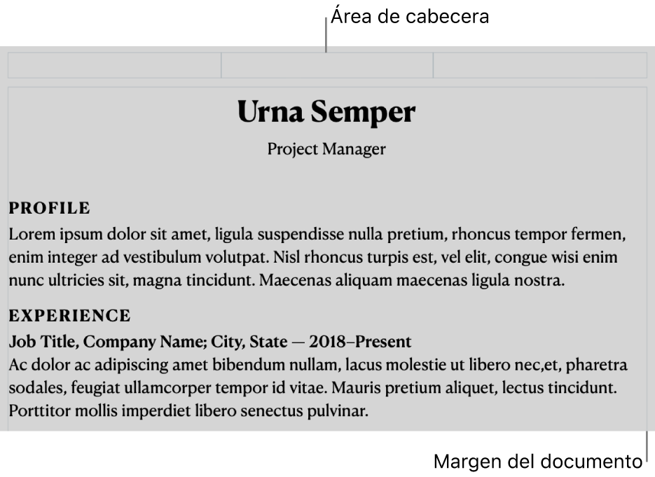 La vista de disposición mostrando el área de cabecera y los márgenes del documento.