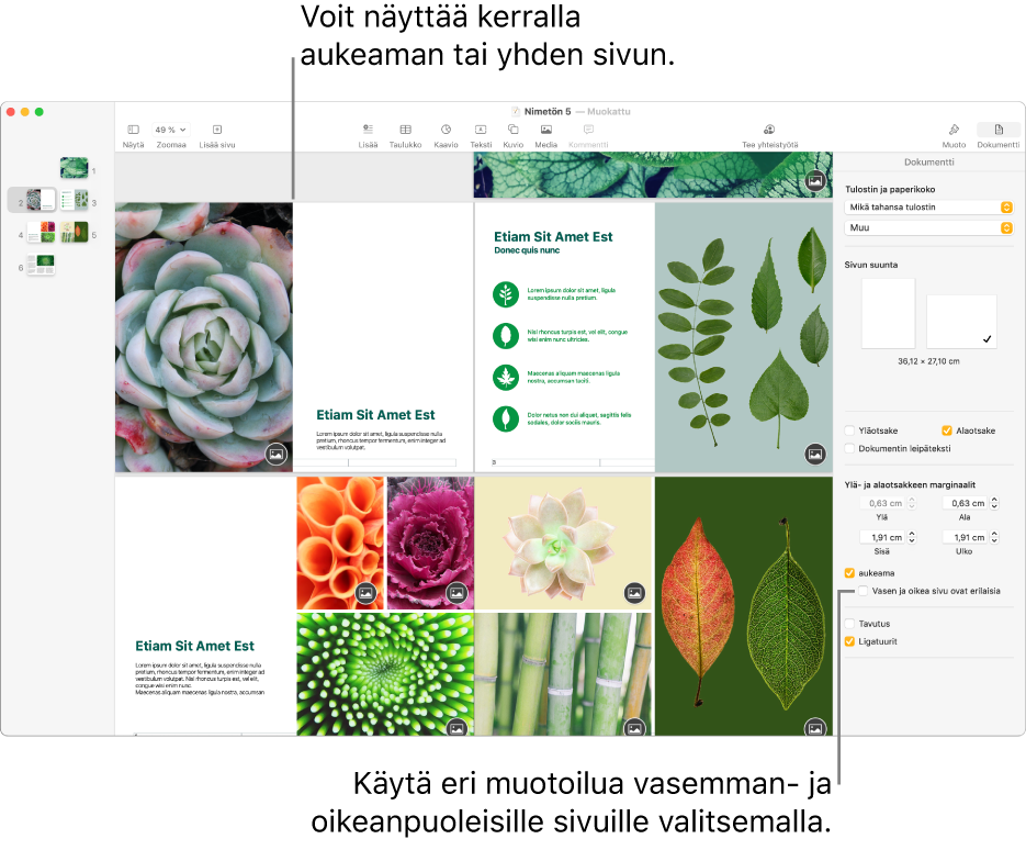 Pages-ikkuna, jossa näkyy sivujen miniatyyrit ja dokumentin sivut aukeamina. Dokumentti-sivupalkissa oikealla Vasen ja oikea sivu ovat erilaisia -valintaneliötä ei ole valittu.