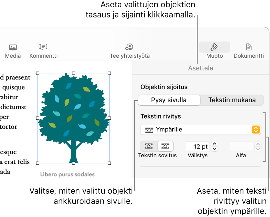 Muoto-valikko, josta näkyy Asettele-sivupalkki. Asettele-sivupalkin yläosassa ovat Objektin sijoitus ‑asetukset ja niiden alla Tekstin rivitys ‑asetukset.