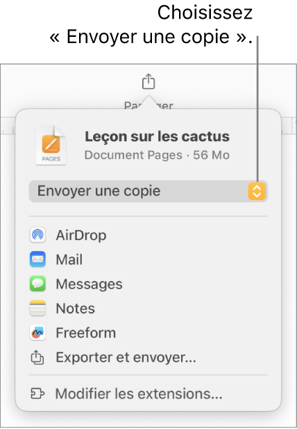 Le menu Partager avec l’option Envoyer une copie sélectionnée en haut.