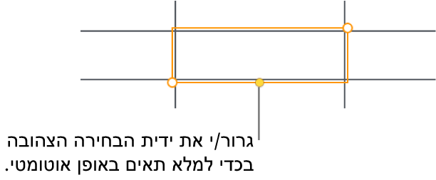 תא נבחר עם ידית צהובה שניתן לגרור כדי למלא תאים באופן אוטומטי.