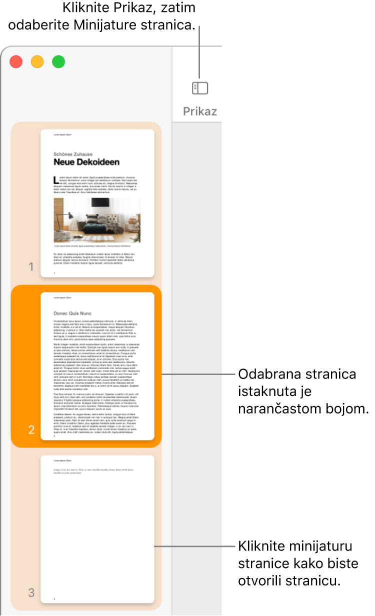 Rubni stupac s lijeve strane prozora aplikacije Pages s otvorenim prikazom minijatura stranica i odabranom stranicom označenom tamnonarančastom bojom.