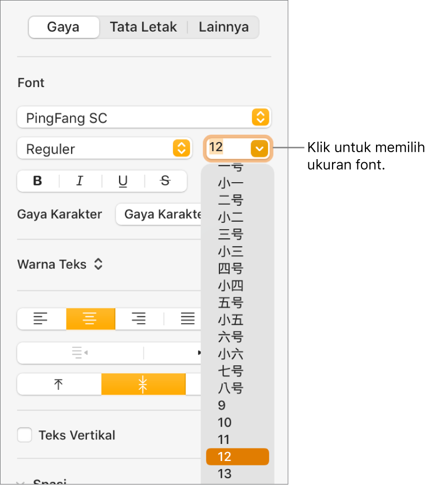 Bagian Gaya pada bar samping Format dengan menu pop-up ukuran font terbuka. Ukuran font standar pemerintah Tiongkok daratan muncul di bagian atas menu pop-up dengan ukuran poin di bawah.